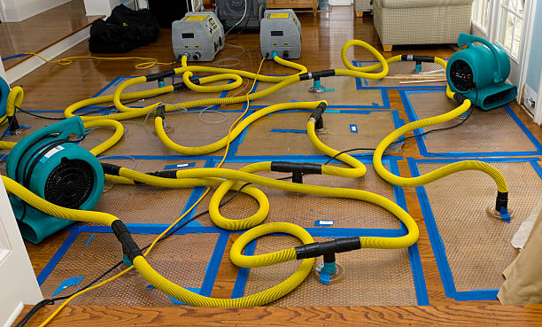 Professional Emergency Water Removal technician working in Bowman, ND